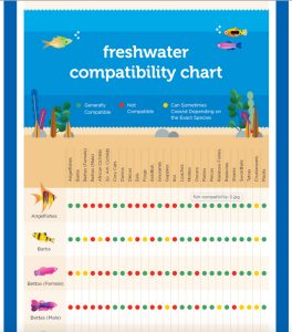 Liveaquaria Compatibility Chart