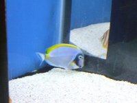 DSCF0159.JPG