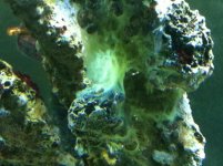 IMG_1310.jpg