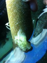 IMG_1312.jpg