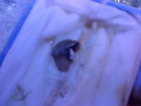 IMG-20121226-00168.jpg