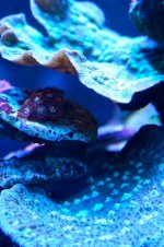IMG_7973.jpg