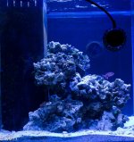 RM13_Tanked_Dec2012-1.jpg