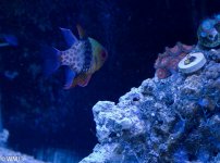 RM13_Tanked_Dec2012-18.jpg