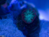 RM13_Tanked_Dec2012-5.jpg
