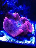 IMG_2657.jpg