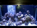 20121108_204720.jpg