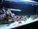 DSC00789.JPG