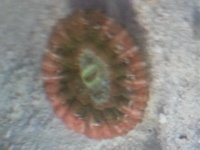 20130601_095826.jpg