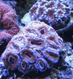 IMG_1378.jpg