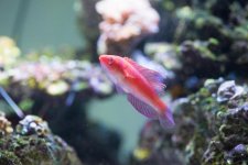 DSC_0530.jpg
