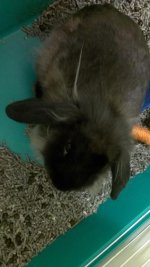 IMAG0110.jpg