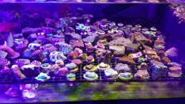 2013-09-06 17.28.36.jpg