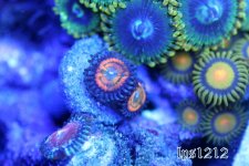 IMG_3835.JPG