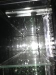 ImageUploadedByReefs1370465122.433558.jpg