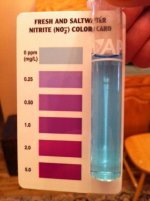 Nitrite.jpg