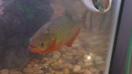 2012-12-31_21-40-18_352.jpg