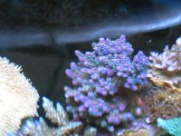 DSCN0676.jpg