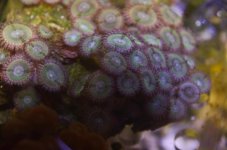 DSC_0611.jpg