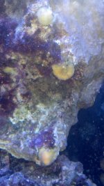 IMG_20130726_161330_106.jpg