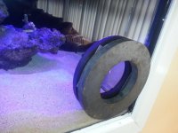 20130407_091720.jpg