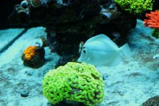 IMG_3530.JPG