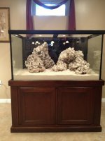 ImageUploadedByReefs1375038270.608127.jpg
