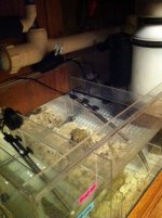 Sump.jpg