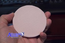 onefish-large-disc.jpg
