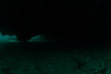 DSC_2089.jpg