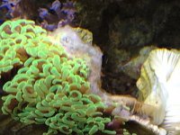 IMG_3472.jpg
