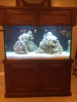 ImageUploadedByReefs1375751068.900620.jpg