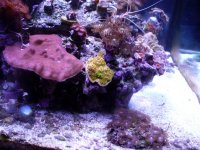 7-31-13 096.jpg