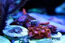 IMG_7964.jpg