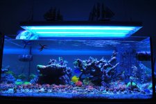 full tank shot sep 2013.jpg