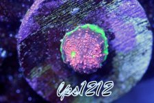IMG_4174.JPG