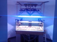 IMG00021-20110210-0648.jpg