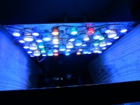 IMG_6513.jpg