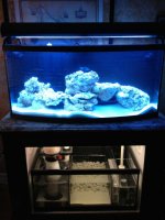 ImageUploadedByReefs1376538661.773275.jpg