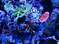 IMG_5149.jpg