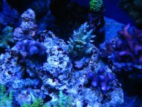 IMG_5151.jpg