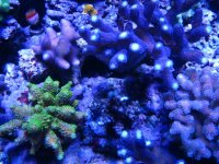 IMG_5159.jpg