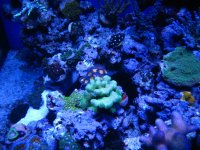 IMG_5160.jpg