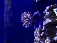 IMG_1599.jpg