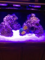 IMG_1181.jpg