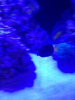 IMG_1175.jpg