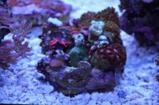 DSC_0828.jpg