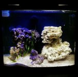 2013-08-19_21-05-07-1.jpg