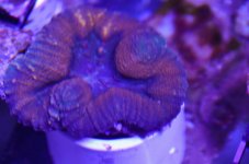 DSC_0892.jpg
