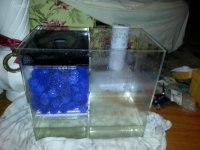 2013-04-27 19.29.07.jpg
